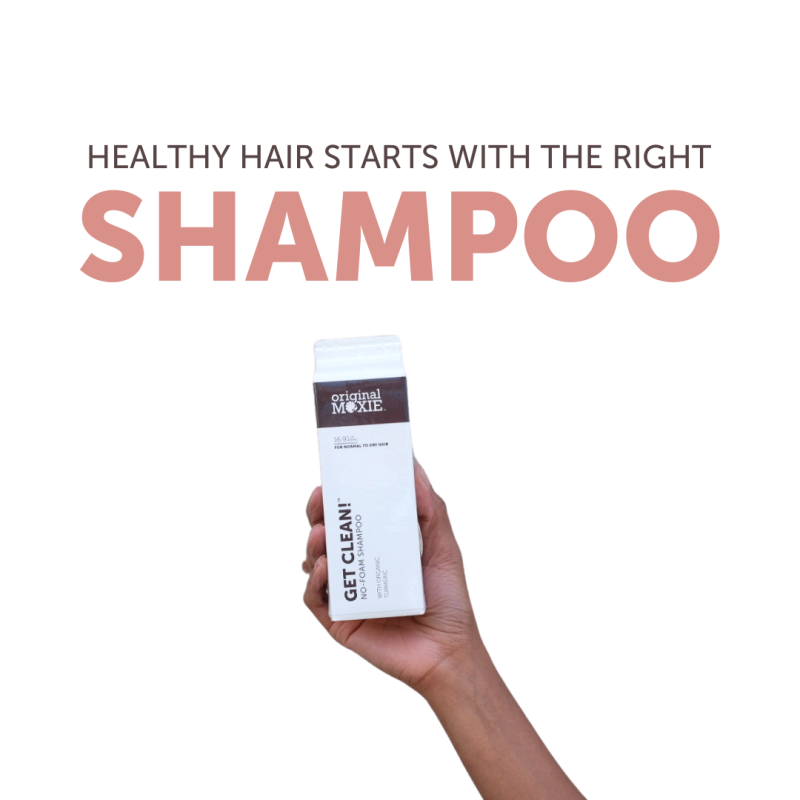 Healthy Hair Starts With The Right Shampoo